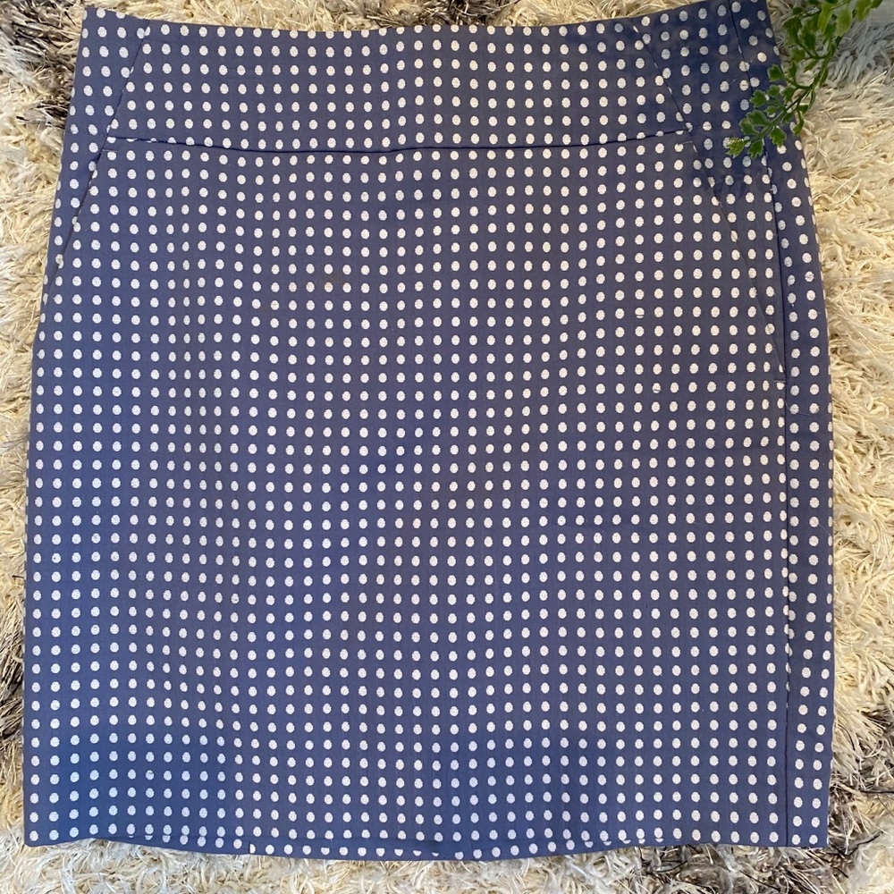 Ann Taylor Dotted Skirt